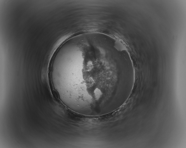 X0000088160147200705221608