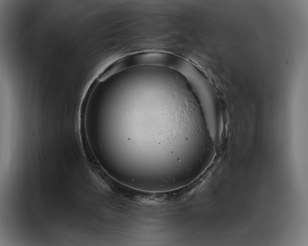 X0000088160148200705221608