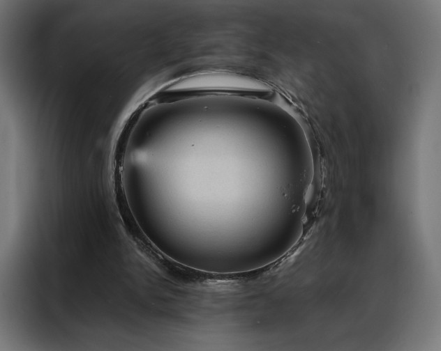 X0000088160150200705221608