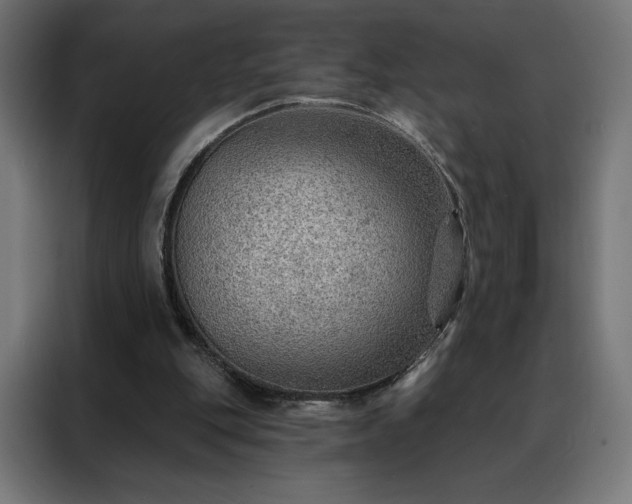 X0000088160151200705221608