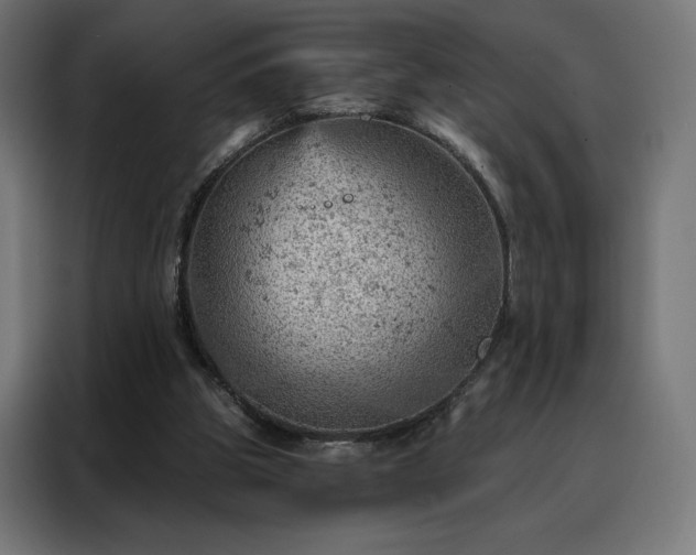 X0000088160153200705221608