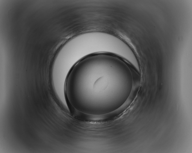X0000088160154200705221608