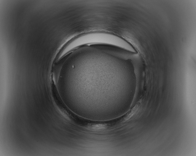 X0000088160156200705221608
