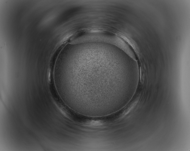 X0000088160157200705221608