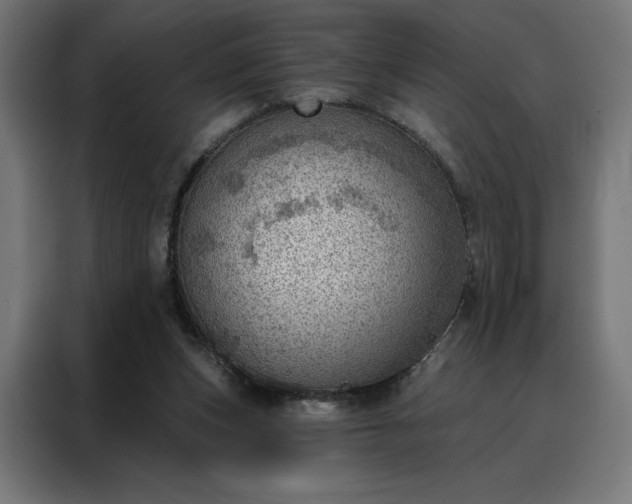 X0000088160159200705221608