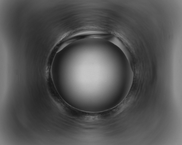 X0000088160160200705221608
