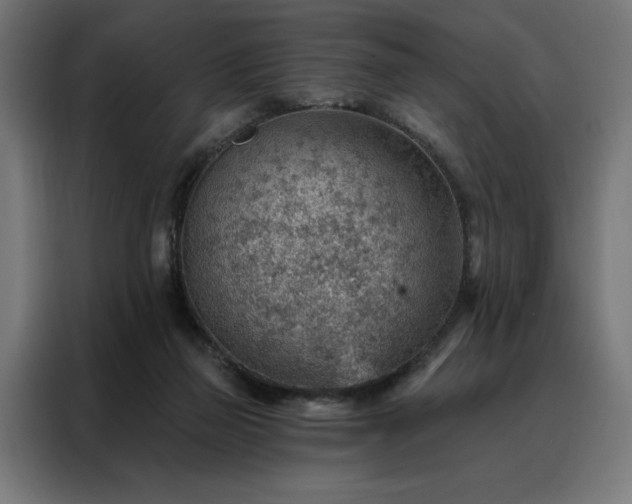 X0000088160165200705221608