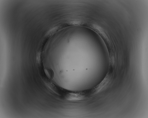 X0000088160167200705221608