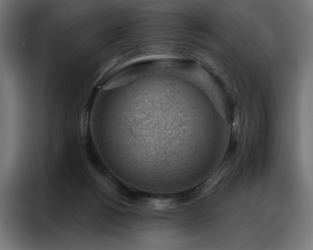 X0000088160168200705221608