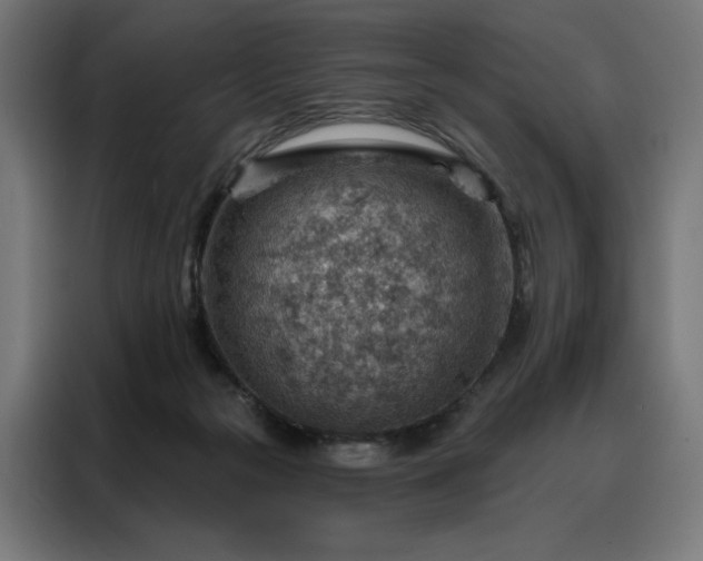 X0000088160169200705221608