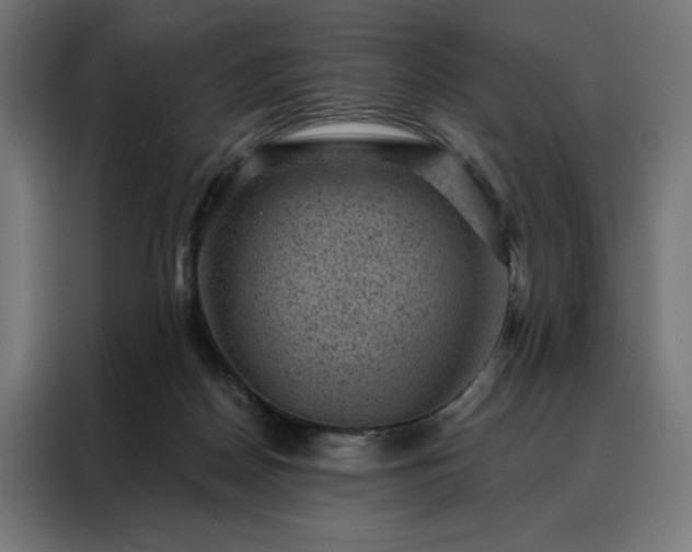 X0000088160170200705221608