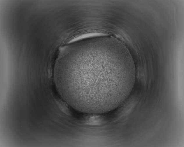 X0000088160173200705221608