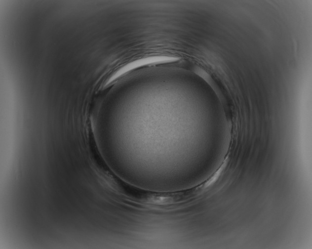 X0000088160174200705221608