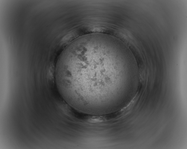 X0000088160175200705221608