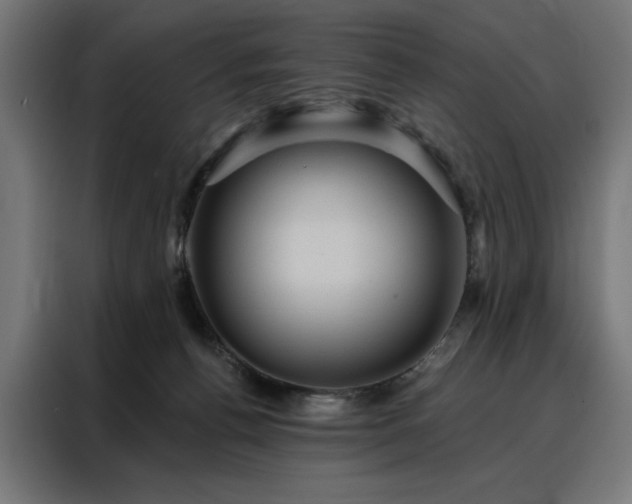 X0000088160176200705221608