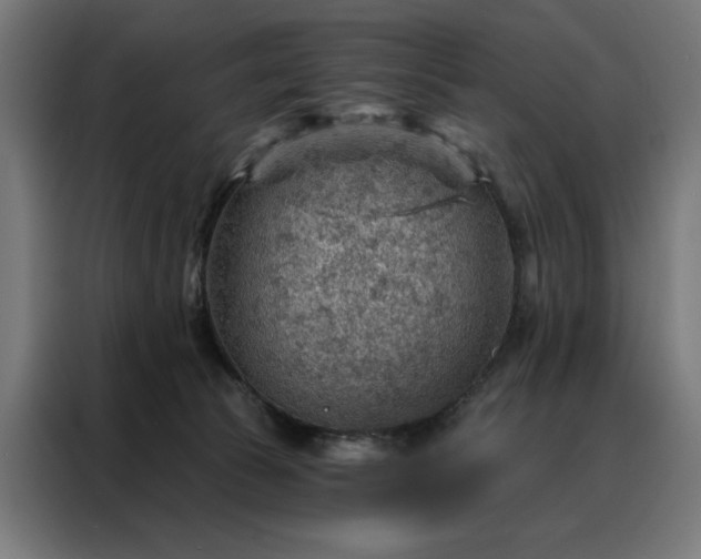 X0000088160177200705221608