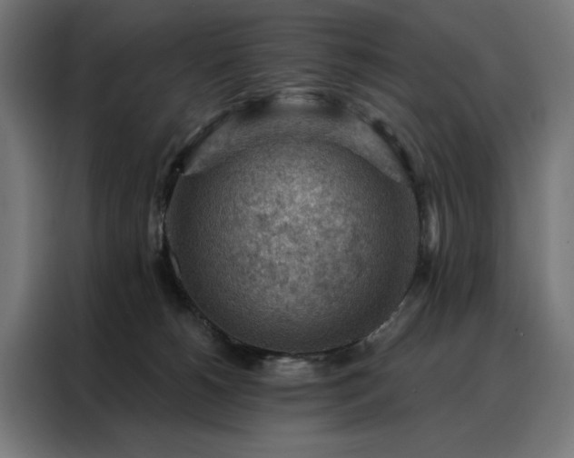 X0000088160180200705221608
