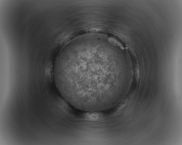 X0000088160181200705221608
