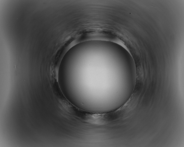 X0000088160184200705221608