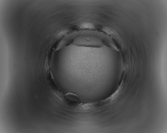 X0000088160186200705221608
