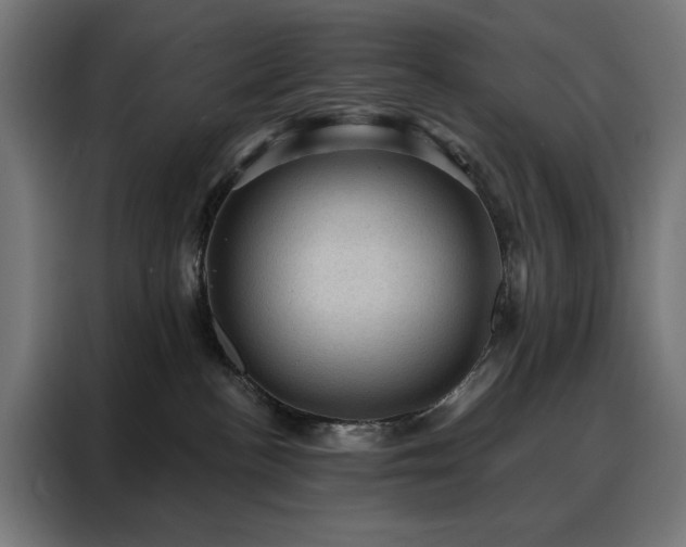 X0000088160188200705221609