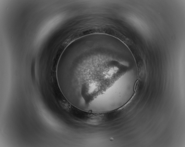 X0000088160191200705221609
