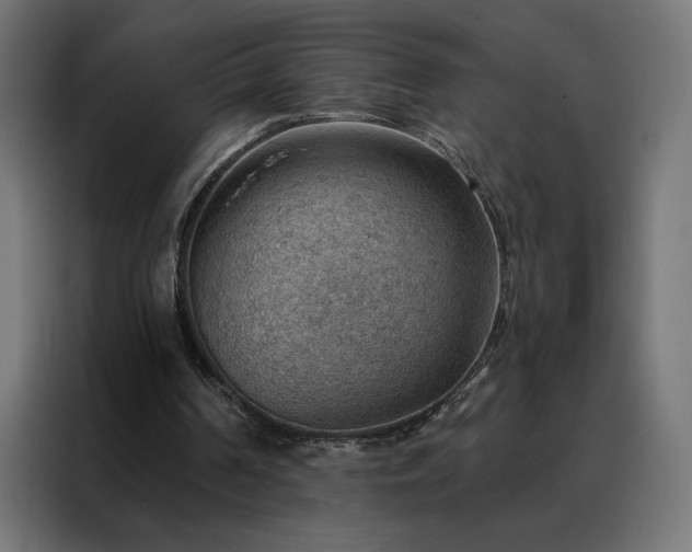 X0000088160194200705221608