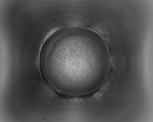X0000088160196200705221608