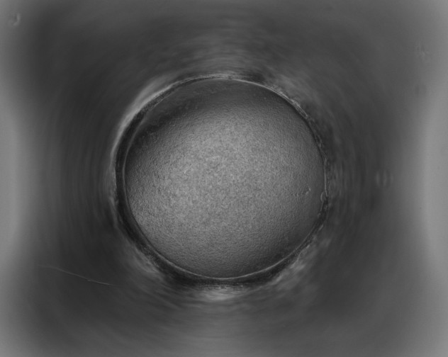X0000088160198200705221608