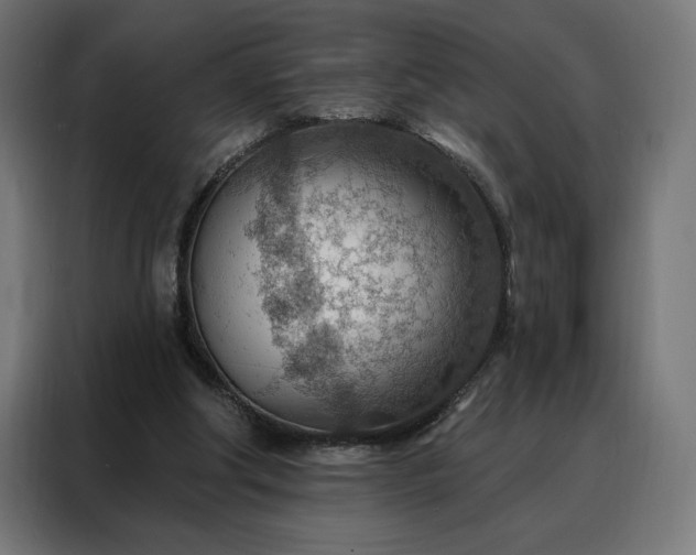 X0000088160202200705221608