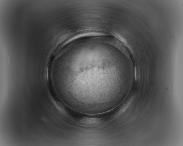 X0000088160205200705221608
