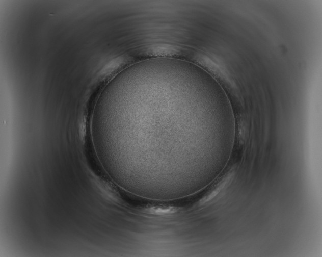 X0000088160206200705221608