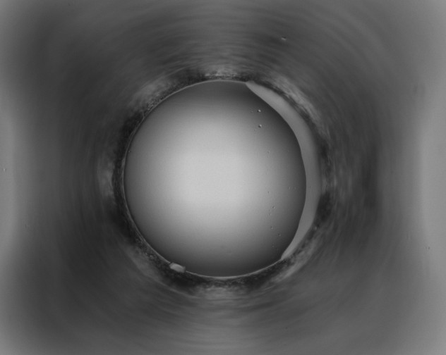 X0000088160209200705221608