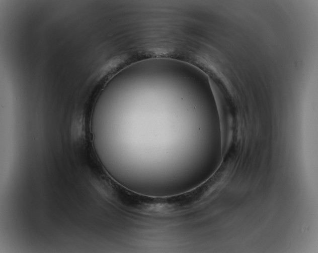 X0000088160212200705221608