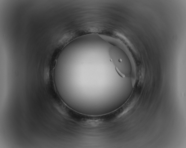 X0000088160213200705221608