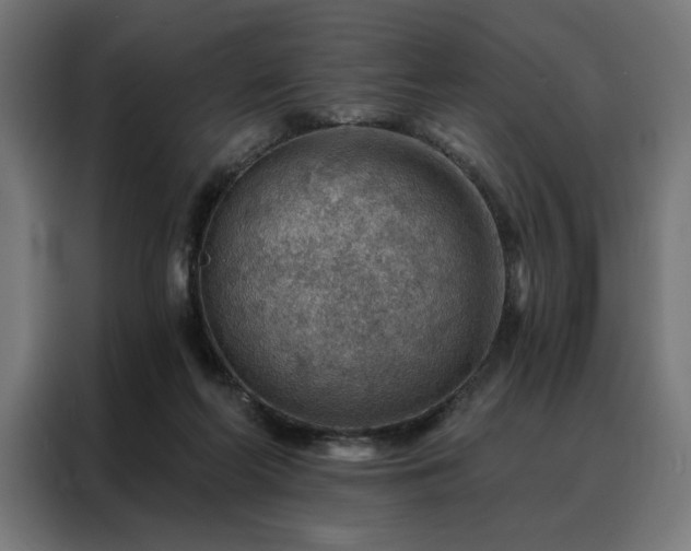 X0000088160214200705221608
