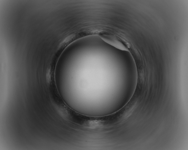 X0000088160216200705221608