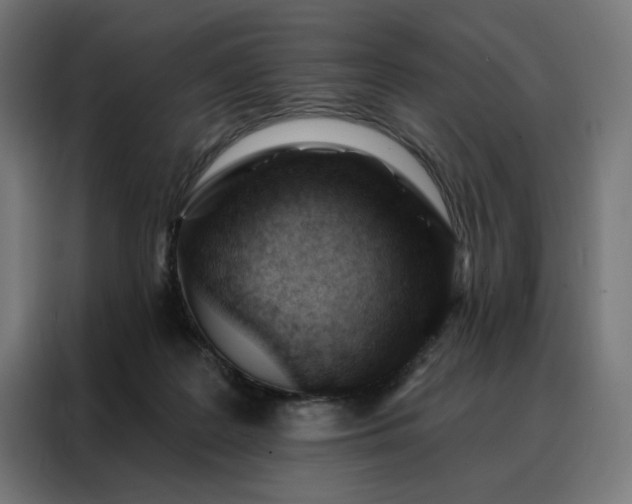 X0000088160219200705221608