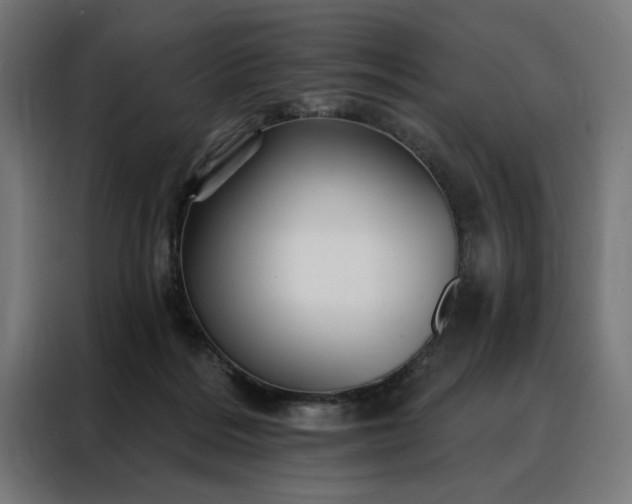 X0000088160220200705221607