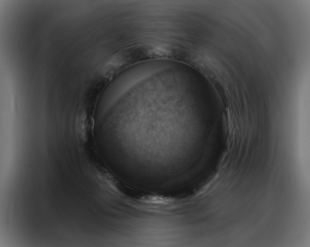 X0000088160223200705221607