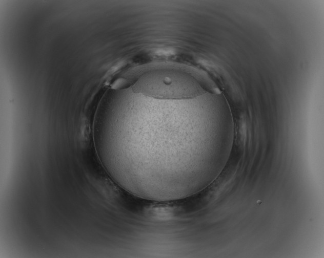X0000088160228200705221607