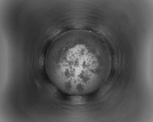 X0000088160230200705221607