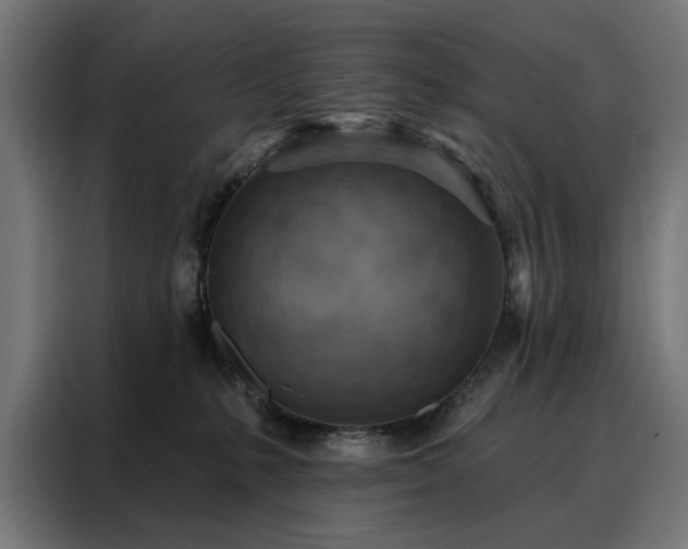 X0000088160231200705221607
