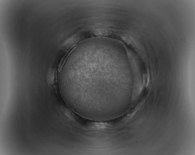 X0000088160233200705221607