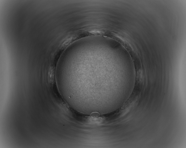 X0000088160234200705221607