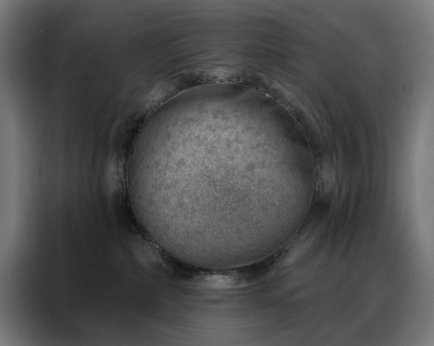 X0000088160236200705221607