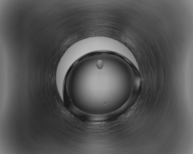 X0000088160237200705221607