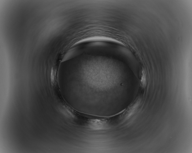 X0000088160239200705221607
