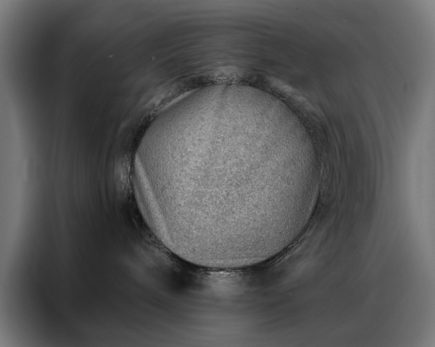 X0000088160240200705221607