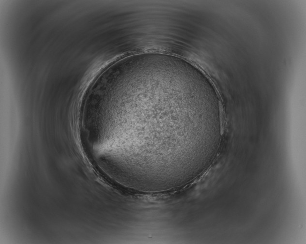 X0000088160241200705221607